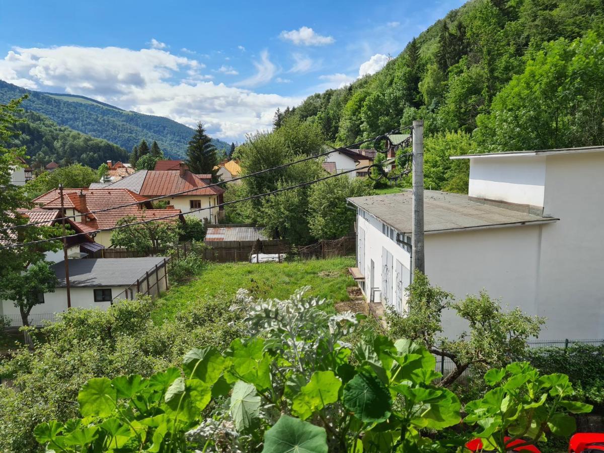 Pension Marina Hotel Sinaia Exterior photo